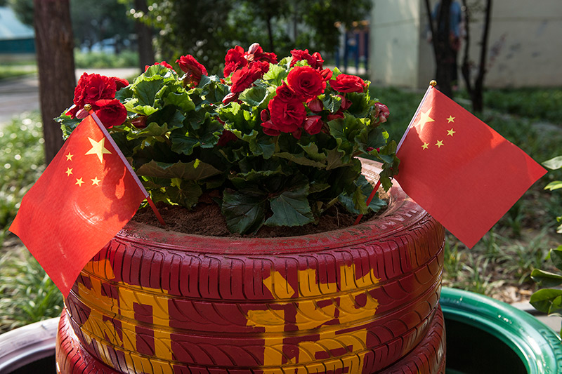 8职工生涯区一路俏丽的景致线（邢矿集团生涯分公司，王佳）.jpg